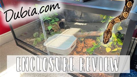 Contact information for livechaty.eu - Nov 8, 2022 · This item: Reptile Habitats 4x2x2, 120 Gallon Bearded Dragon Enclosure. $29900. +. JEDEW 2-Pack Mini Hygrometer Thermometer Digital LCD Monitor Indoor/Outdoor Humidity Meter Gauge Temperature for Humidifiers Dehumidifiers Greenhouse Reptile Humidor Fahrenheit (℉)/ Celsius (℃) $995. +. 